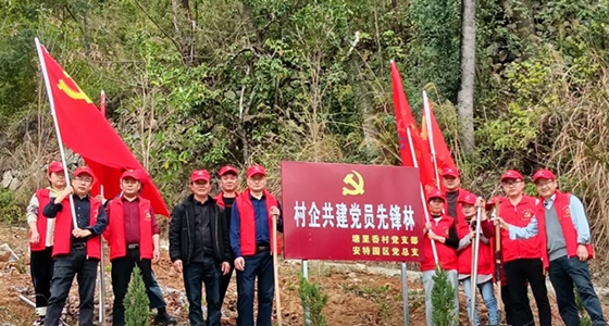 村企共建，共植先鋒林